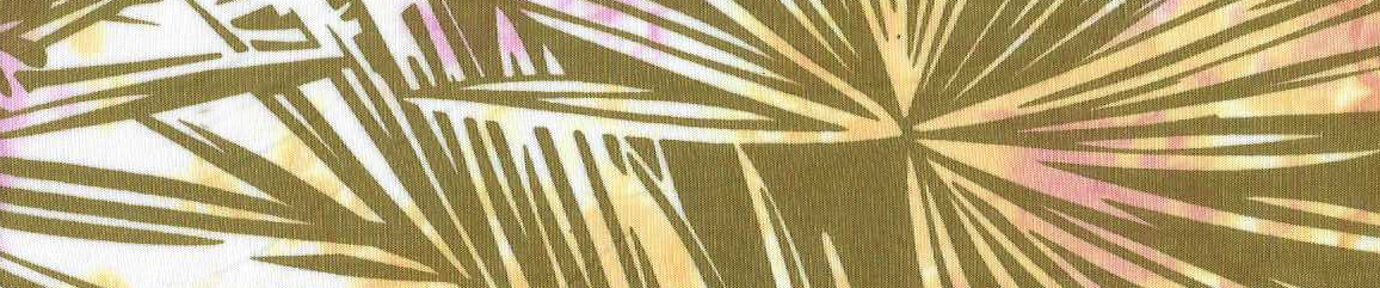 FAN PALM